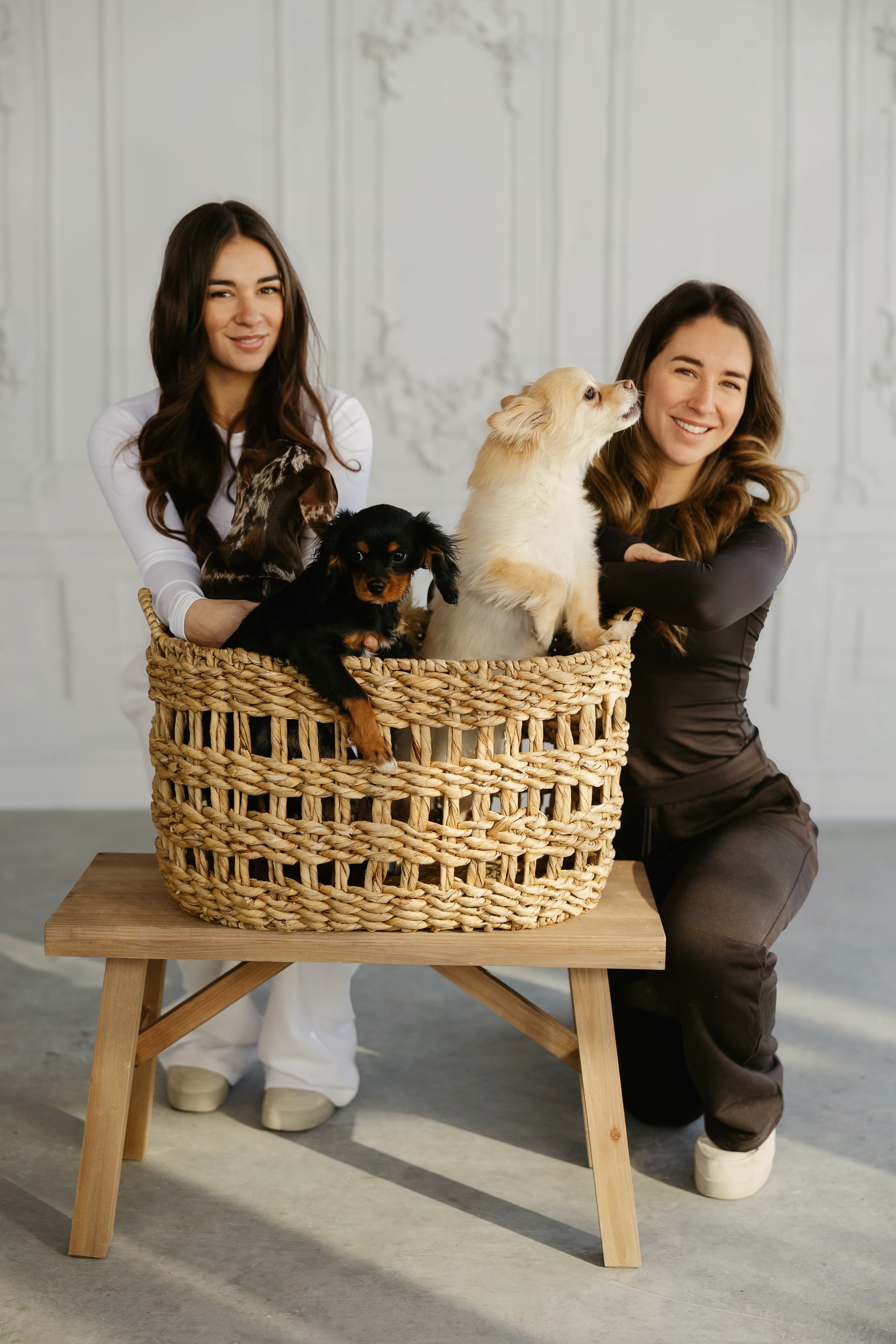 Galerie Pawlace 4