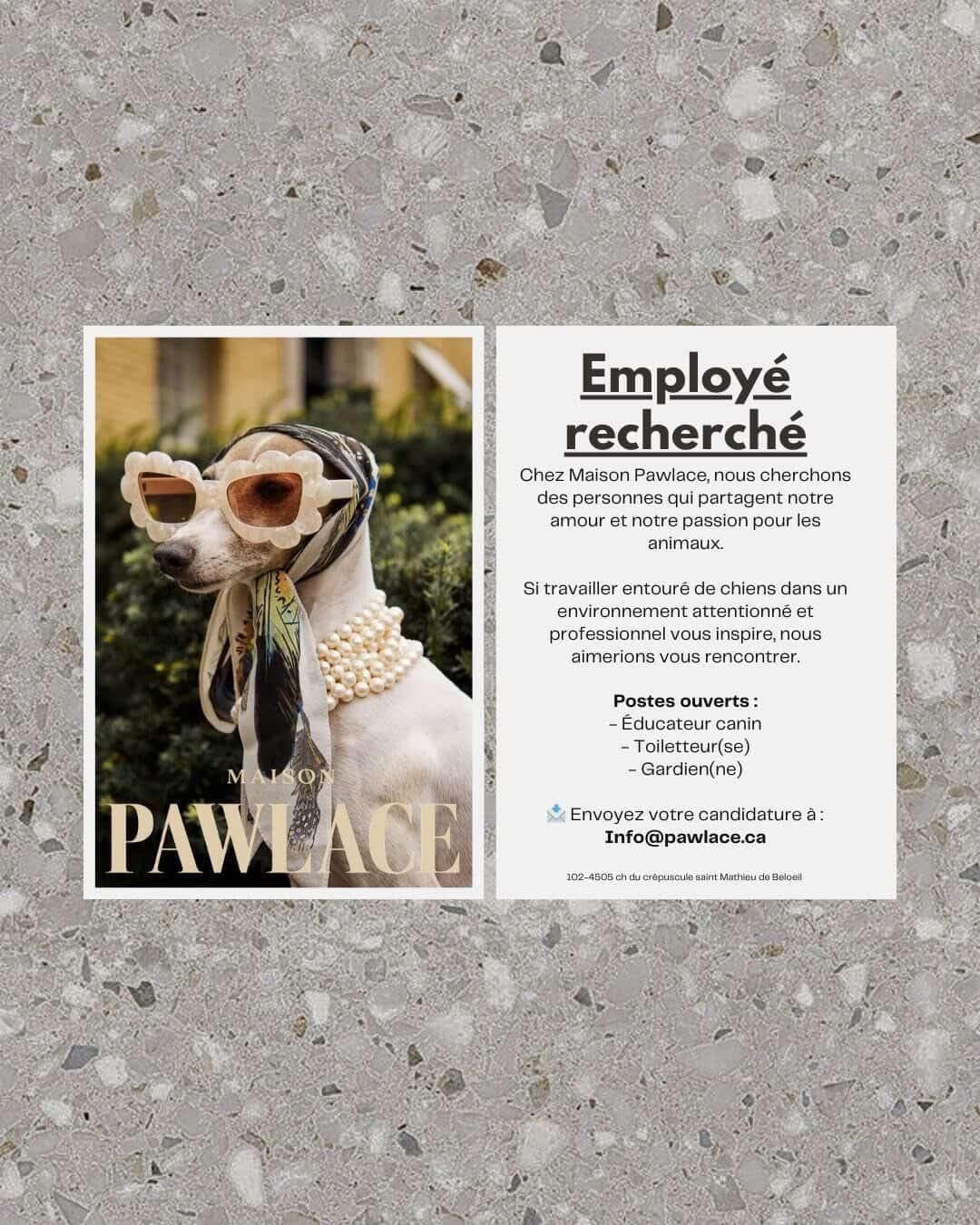 Affiche recrutement Maison Pawlace